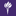 New York University logo